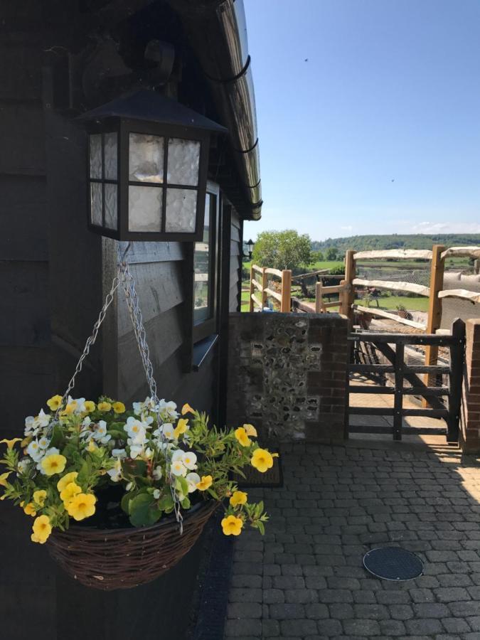 アランデル The Cow Hide Bed & Breakfast エクステリア 写真